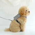 Pet Leash Backpack